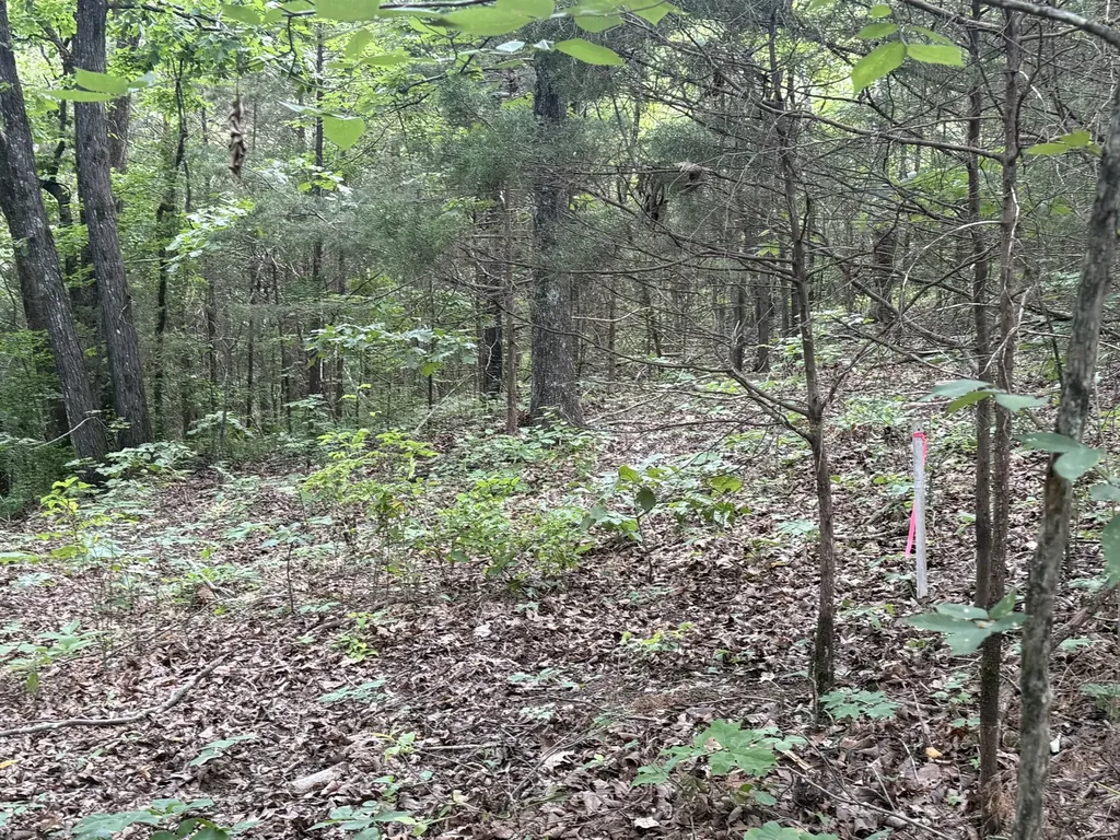 0 Jack Holt Road Prospect TN 38477