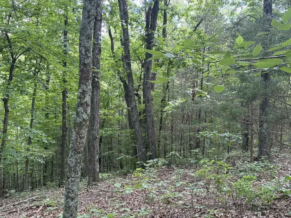 0 Jack Holt Road Prospect TN 38477