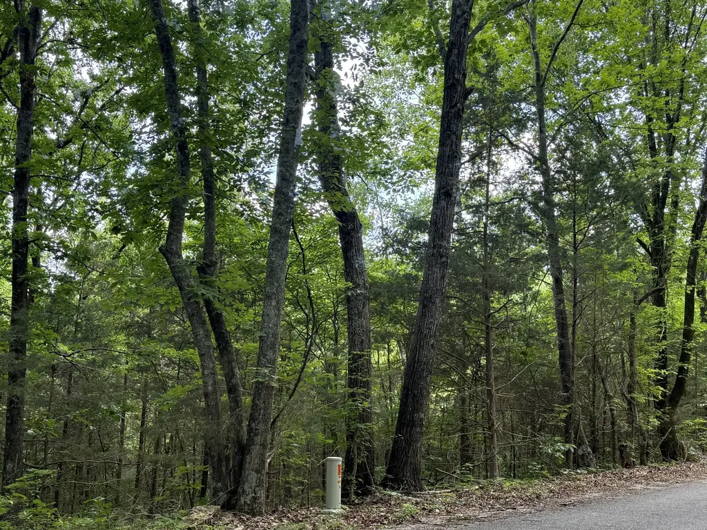 0 Jack Holt Road Prospect TN 38477