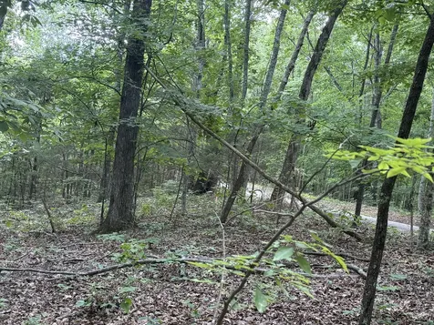 0 Jack Holt Road Prospect TN 38477