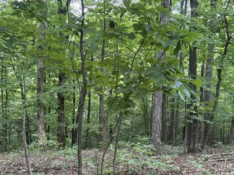 0 Jack Holt Road Prospect TN 38477