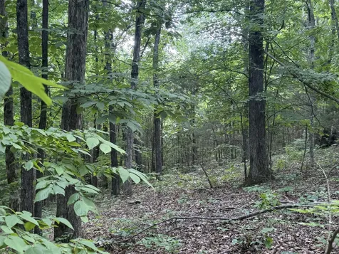 0 Jack Holt Road Prospect TN 38477