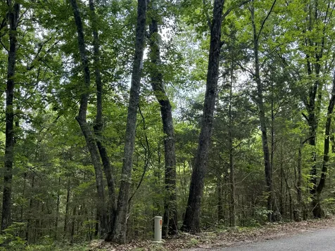0 Jack Holt Road Prospect TN 38477