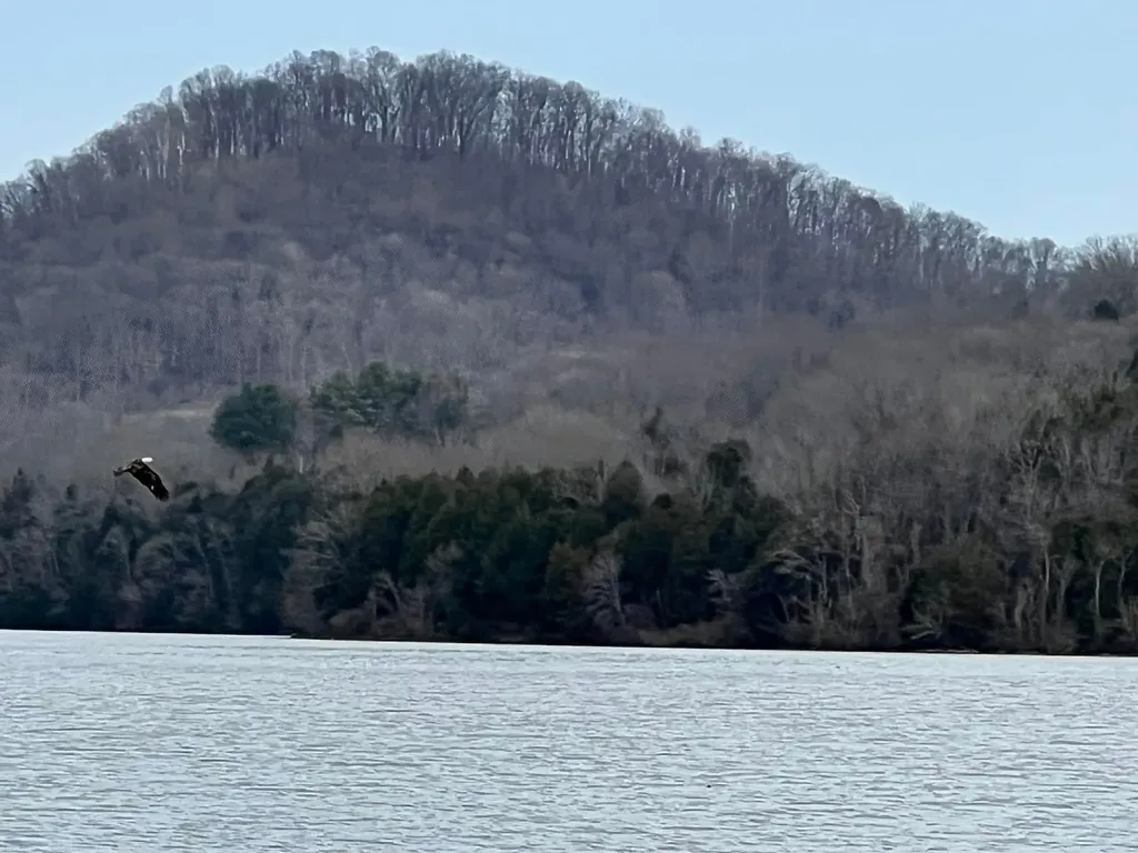 313 Ben Myers Lane Gainesboro TN 38562