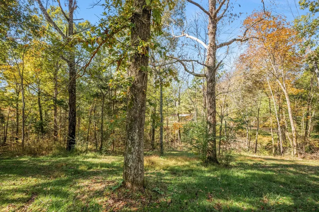 1865 Clydeton Road Waverly TN 37185