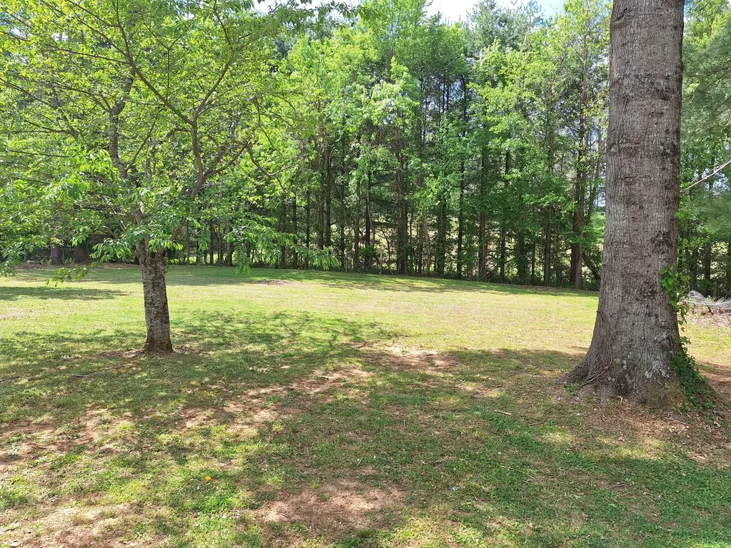 85 Brandywine Street Mcminnville TN 37110