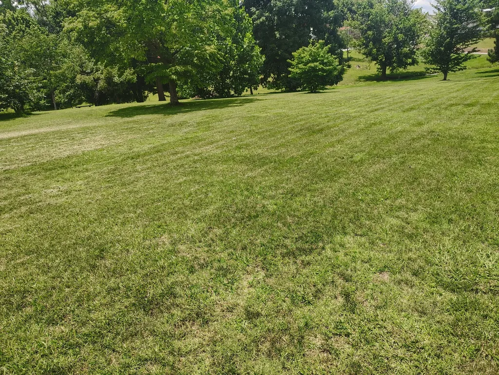 0 Short Street Lafayette TN 37083