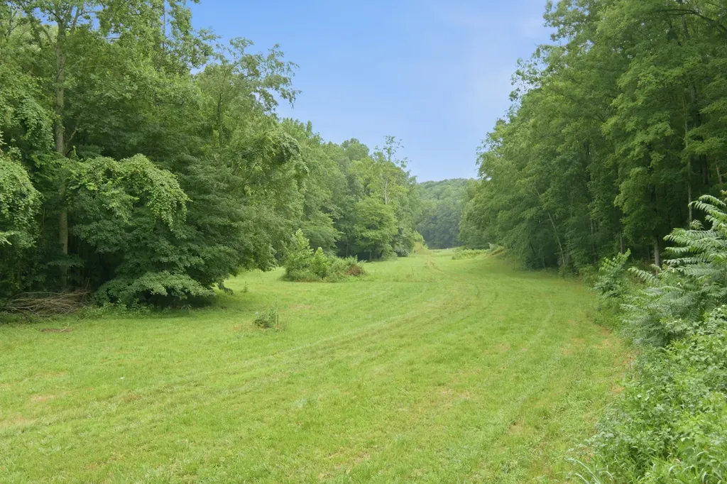 7075 Pinewood Road Nunnelly TN 37137