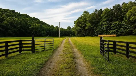 7075 Pinewood Road Nunnelly TN 37137