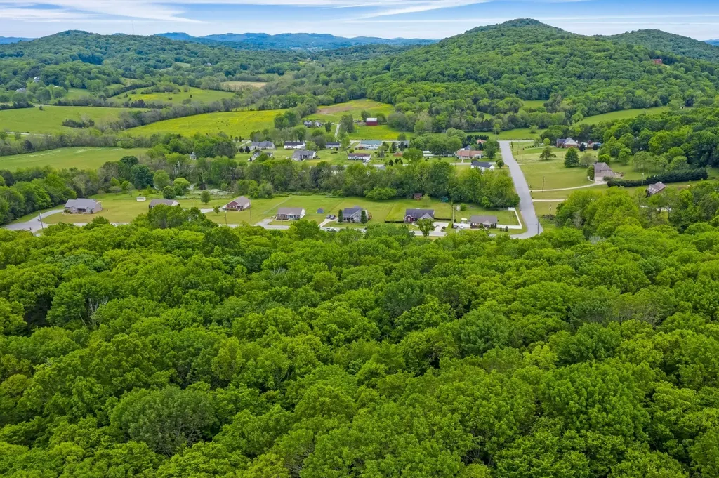 419 Alydar Drive Watertown TN 37184