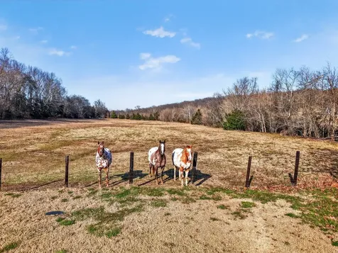 600 Bates Hollow Road Prospect TN 38477
