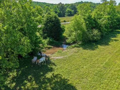 600 Bates Hollow Road Prospect TN 38477