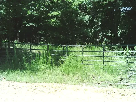 0 Hargis Road Bumpus Mills TN 37028