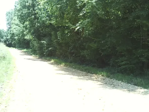 0 Hargis Road Bumpus Mills TN 37028