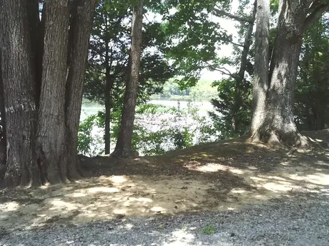 0 Hargis Road Bumpus Mills TN 37028