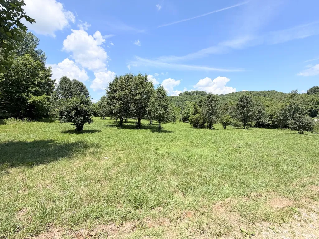 4033 New Highway 96, W Franklin TN 37064