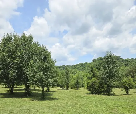 4033 New Highway 96, W Franklin TN 37064