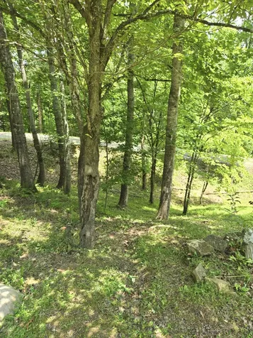 4033 New Highway 96, W Franklin TN 37064