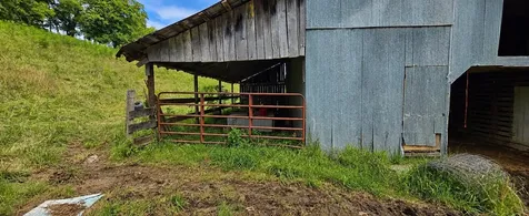 2039 Blackburn Hollow Road Cornersville TN 37047