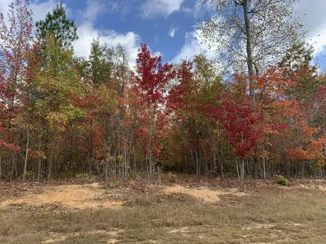 174 Volunteer Street Jasper TN 37347