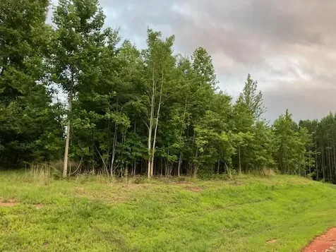 174 Volunteer Street Jasper TN 37347
