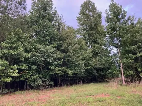 174 Volunteer Street Jasper TN 37347