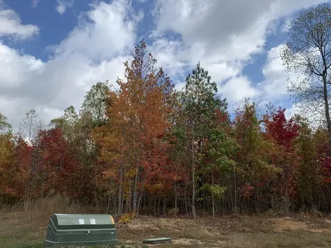 174 Volunteer Street Jasper TN 37347