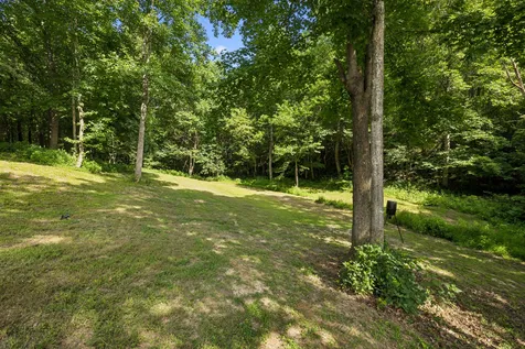 906 Riverwood Drive Buchanan TN 38222