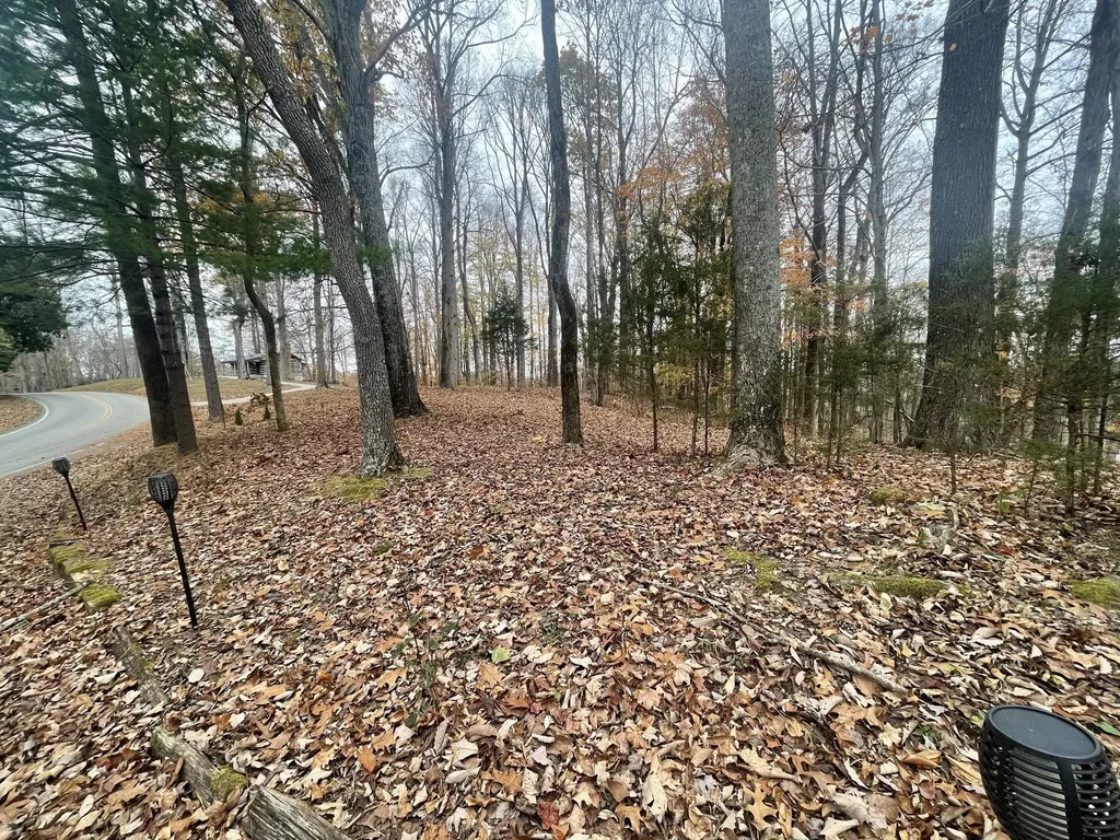2029 Holly Creek Road Celina TN 38551