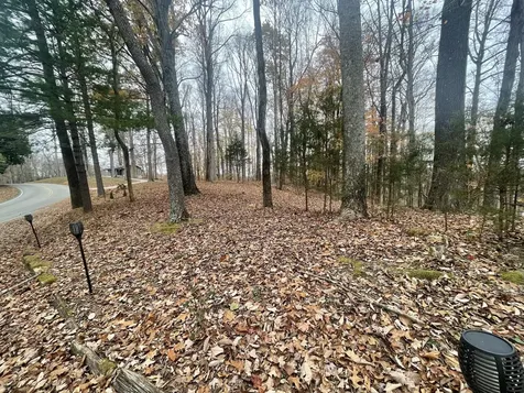 2029 Holly Creek Road Celina TN 38551
