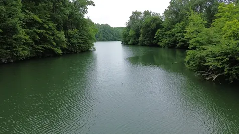 556 Panhead Hollow Road Estill Springs TN 37330