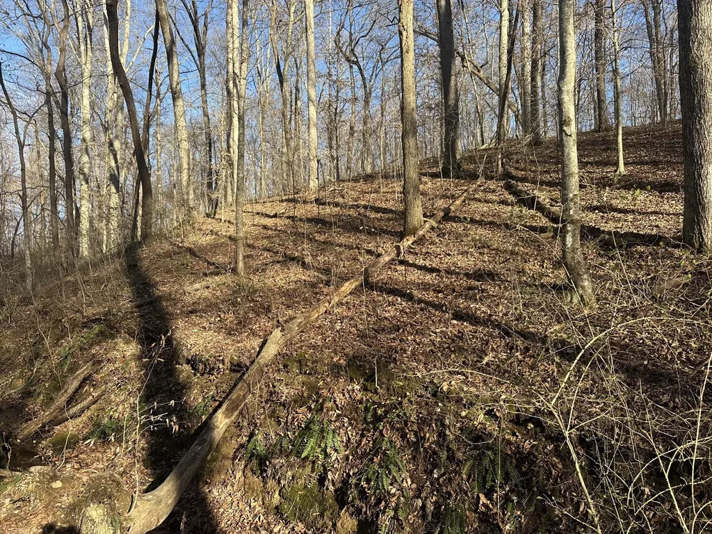 0 Arnold Thomas Road Silver Point TN 38582