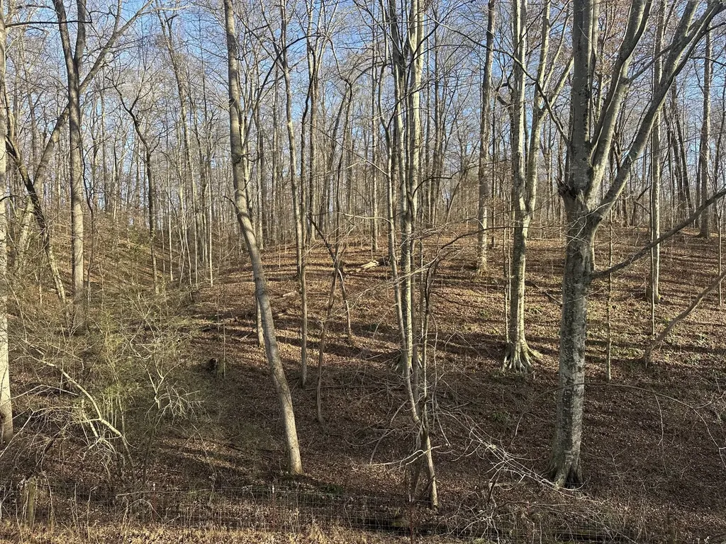 0 Arnold Thomas Road Silver Point TN 38582
