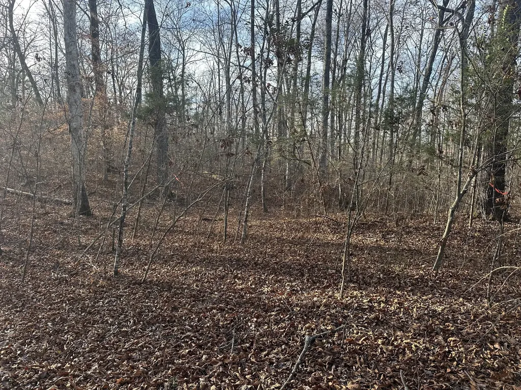 0 Arnold Thomas Road Silver Point TN 38582