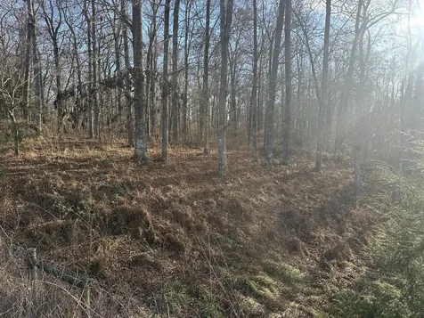 0 Arnold Thomas Road Silver Point TN 38582