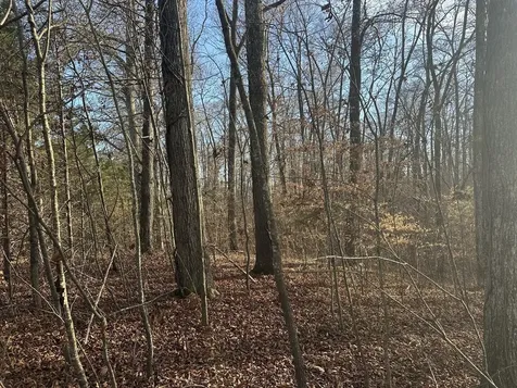 0 Arnold Thomas Road Silver Point TN 38582