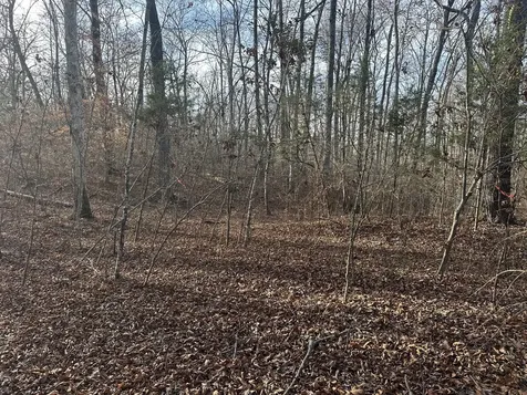 0 Arnold Thomas Road Silver Point TN 38582