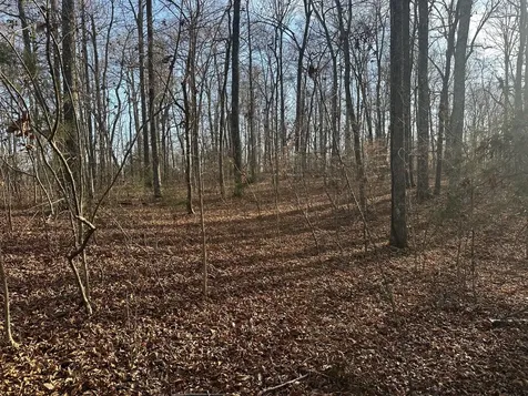 0 Arnold Thomas Road Silver Point TN 38582