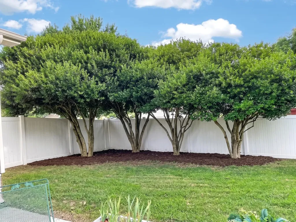 578 Donna Drive Clarksville TN 37042