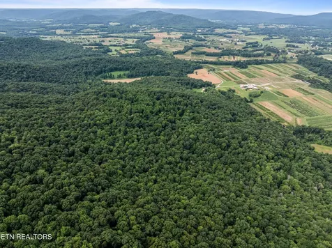 0 Turners Bend Road Mcminnville TN 37110