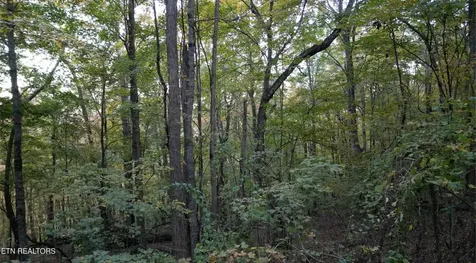 0 Turners Bend Road Mcminnville TN 37110