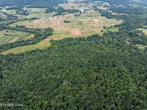 0 Turners Bend Road Mcminnville TN 37110