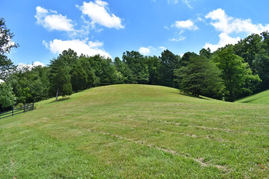 1319 Ideal Valley Road Spring City TN 37381