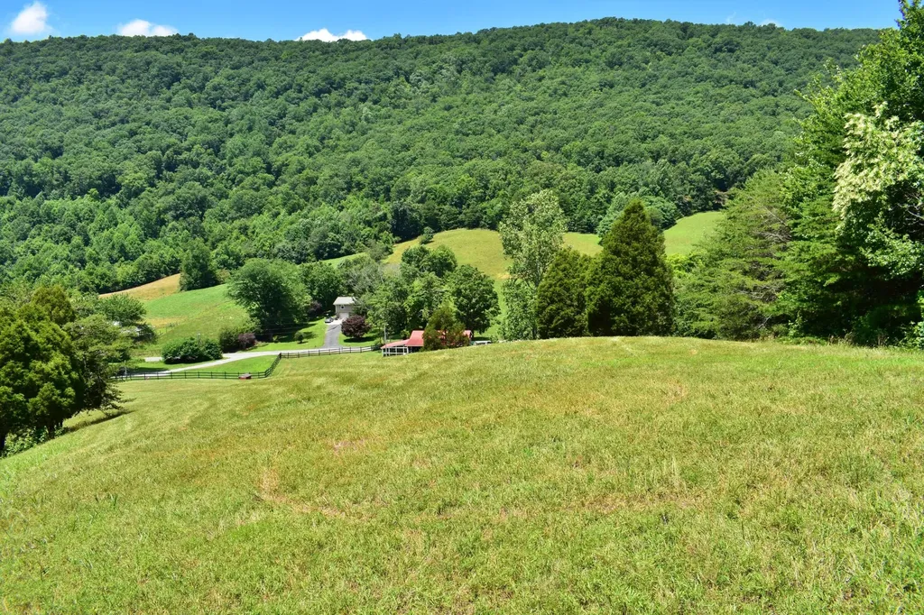 1319 Ideal Valley Road Spring City TN 37381