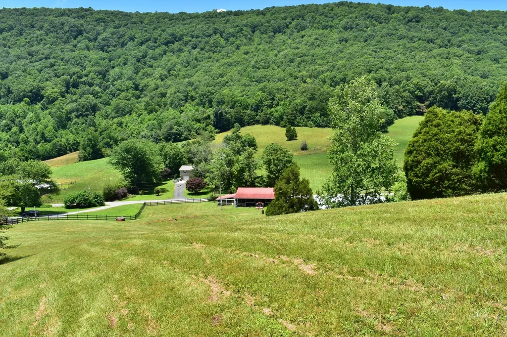 1319 Ideal Valley Road Spring City TN 37381
