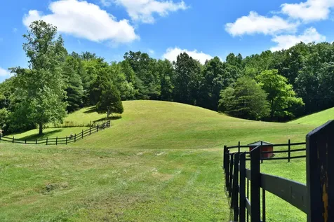1319 Ideal Valley Road Spring City TN 37381