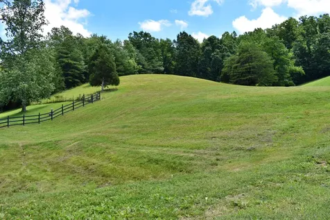 1319 Ideal Valley Road Spring City TN 37381