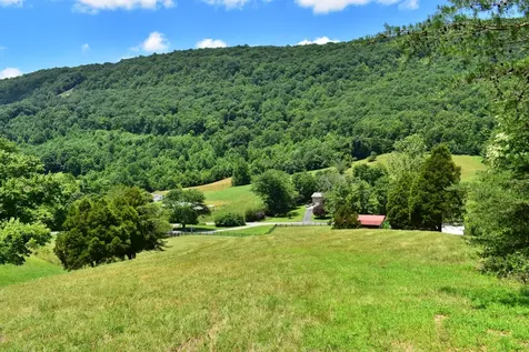1319 Ideal Valley Road Spring City TN 37381