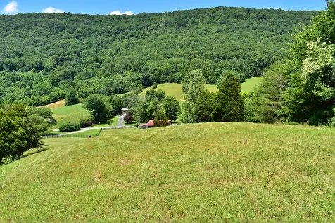 1319 Ideal Valley Road Spring City TN 37381