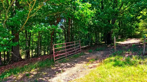 1319 Ideal Valley Road Spring City TN 37381